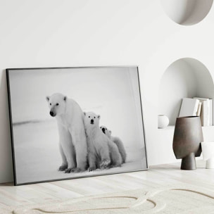 Affiche encadrée ours polaires en noir et blanc Affiche + cadre en métal - Noir