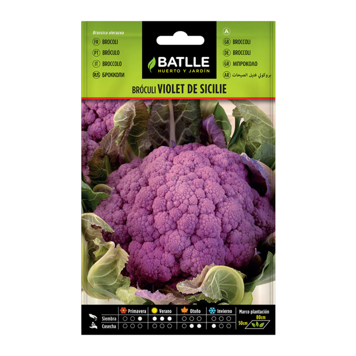 Semillas de Brócoli Violet de Sicile Batlle