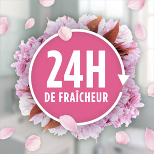 Pack de 12 - Nettoyant ménager Ajax Fêtes des Fleurs Cerisier 1,25L