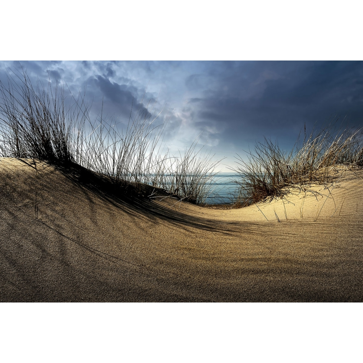 Tableau dunes secrètes Tableau alu Dibond