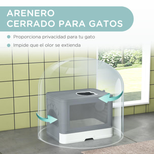 Arenero para Gatos con Cubierto Inodoro para Mascotas Desmontable con Caja de Almacenamiento Pala Cepillo 2 Puertas Entrada Principal y Salida Superior 48,5x38x36,5 cm Gris