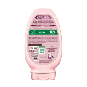 Lot de 12 - Garnier Ultra Doux Vignes Merveilleuses Après-Shampooing Hydratant Régénérant 200ml - Homme & Femme