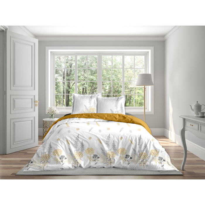 Parure French chic Housse de couette 260x240 + 2 Taies - 100% Coton 57 fils - Certifié Oeko-tex