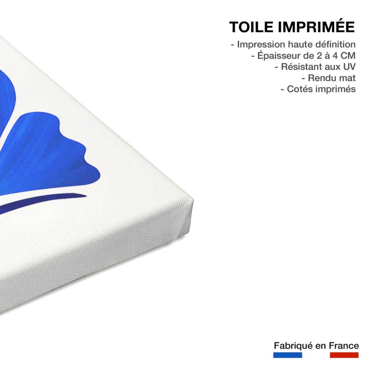 Tableau fleurs amie des fleurs  Toile imprimée