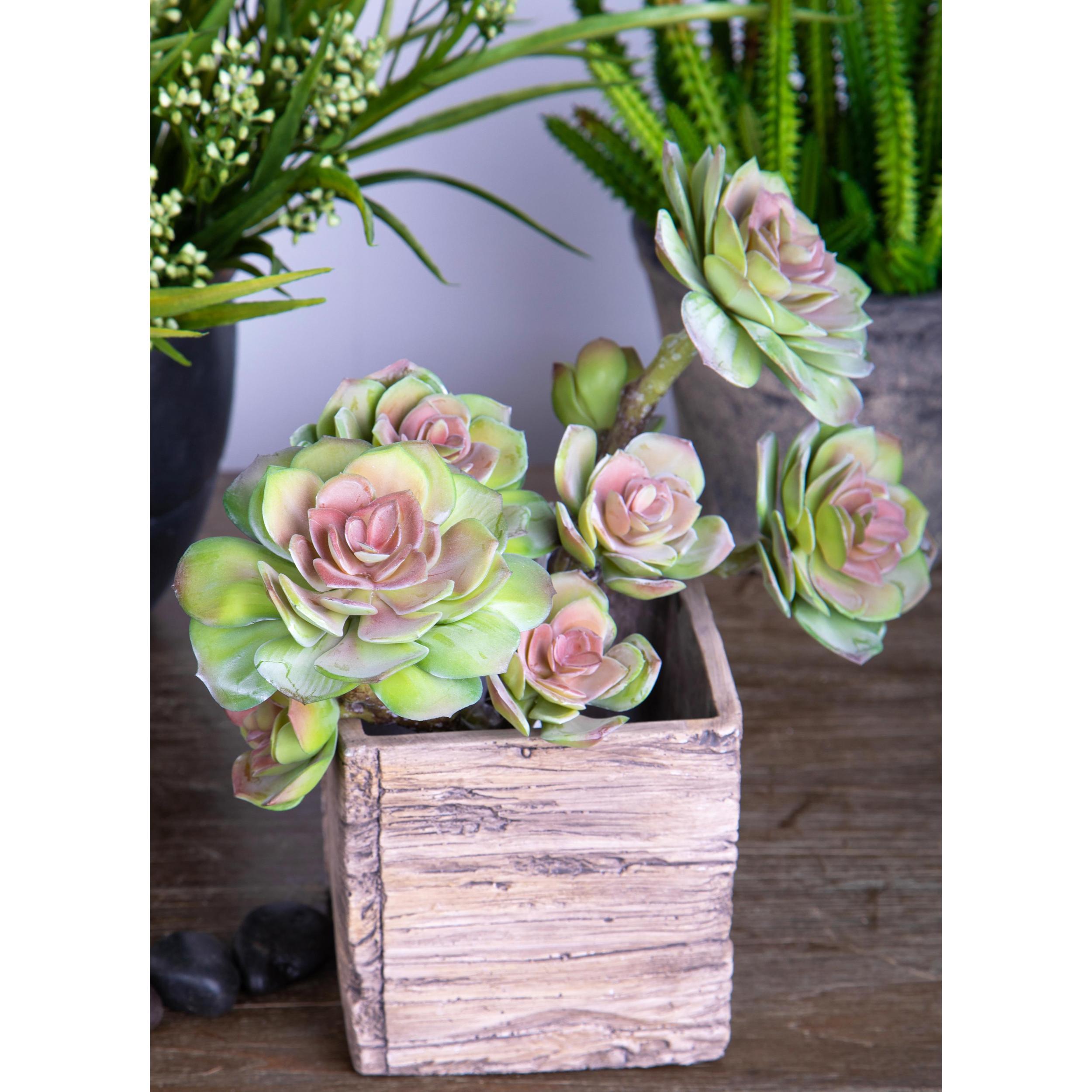 Ramo Succulent Singolo. Altezza 25,5 Cm - Pezzi 2 - 16X25,5X14cm - Colore: Verde - Bianchi Dino - Piante Artificiali