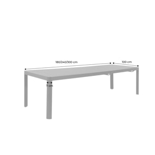 Table de jardin extensible aluminium 6-10 places LUNEA