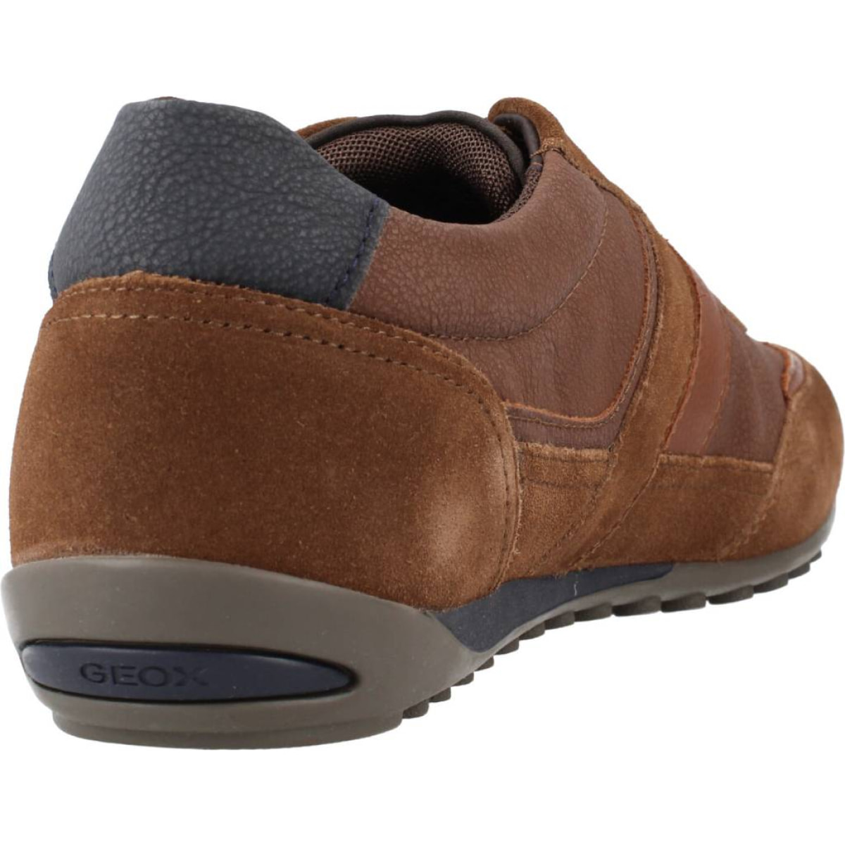 SNEAKERS GEOX U WELLS B- SUEDE