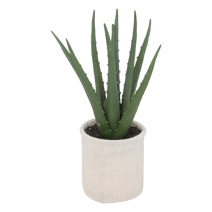 Planta de aloe en maceta natural h29cm