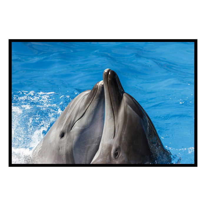 Affiche encadrée dauphins en duo dans l’océan Affiche + cadre en métal - Noir