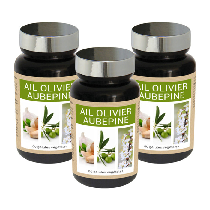 NUTRI EXPERT - Ail Olivier Aubépine - Aide à maîtriser taux de cholestérol et la santé cardiovasculaire - Maintient l'équilibre de la pression artérielle - Cure 30j - Gélules végétales - Lot de 3