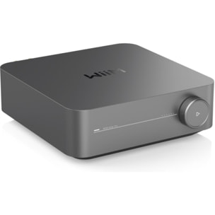 Amplificateur HiFi WIIM amp pro