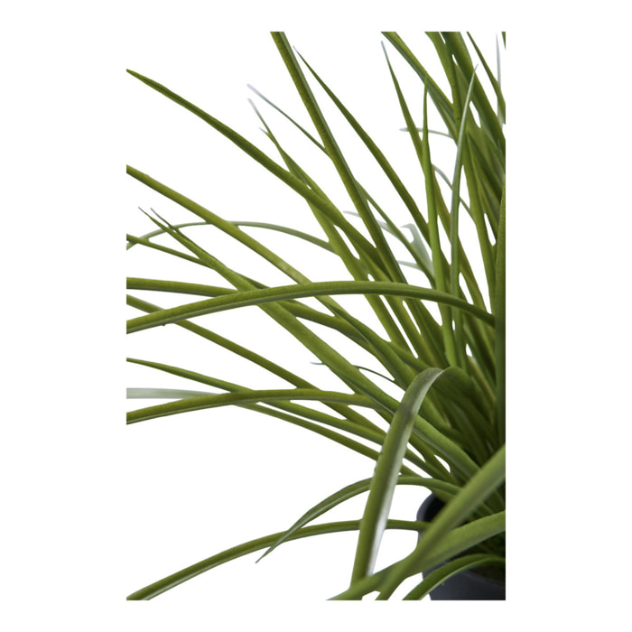 Grass - Erba artificiale decorativa verde H45 cm