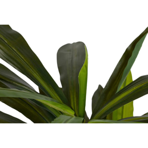 Planta Dracaena Fragrans Con Maceta 55x55x100 Cm