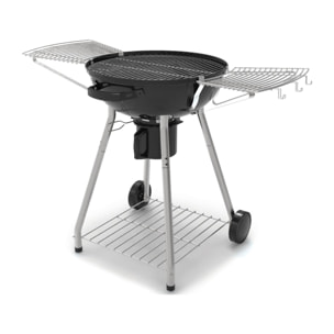 Barbecue au charbon + four à pizza