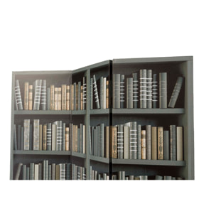 Biombo Canva Biblioteca 120x3x180 Cm