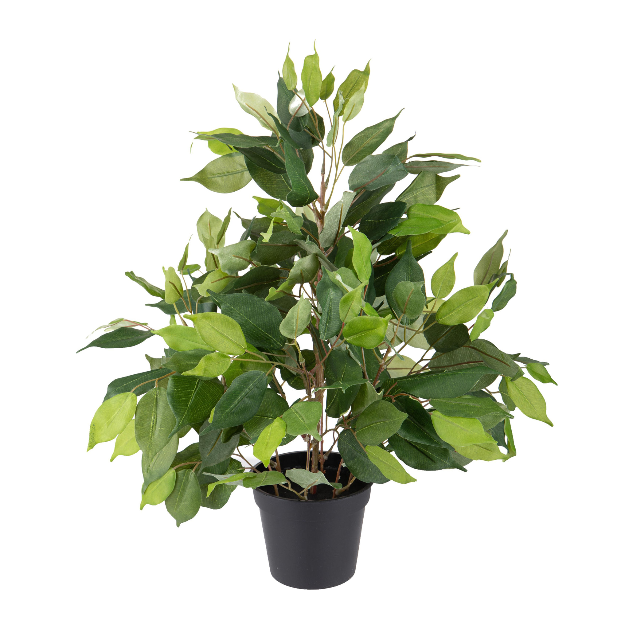 Ficus Con Vaso. Altezza 55 Cm - Pezzi 1 - 20X55X20cm - Colore: Verde - Bianchi Dino - Piante Artificiali