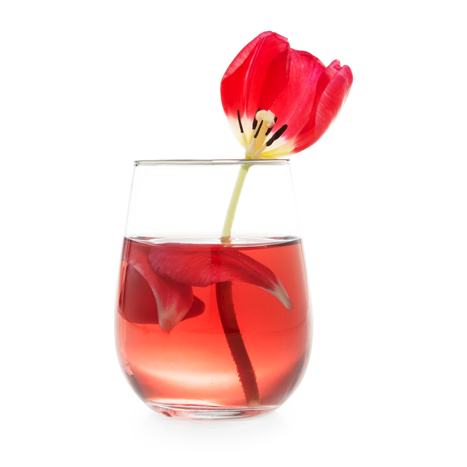 Set de 6 Verres Excelsa – Platinum, Verre Transparent