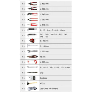 Coffret de maintenance Ultimate 1/4' - 1/2' - 131 pièces - KS TOOLS - 922.0731