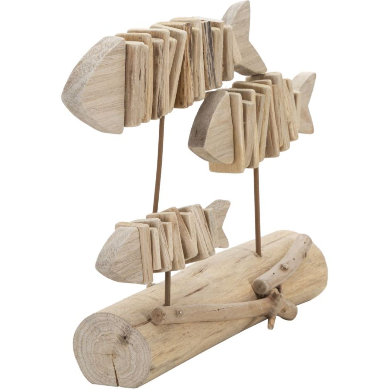 PESCI NATURE CM 37X10X24