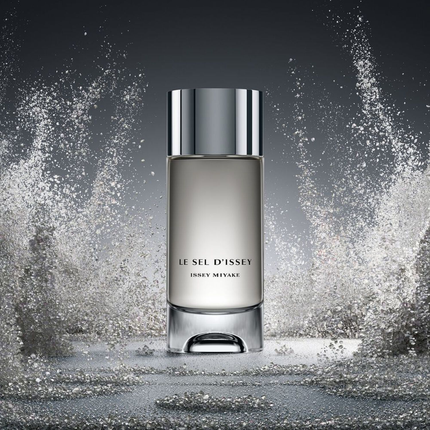 Le Sel D'Issey - Recharge Eau de Toilette