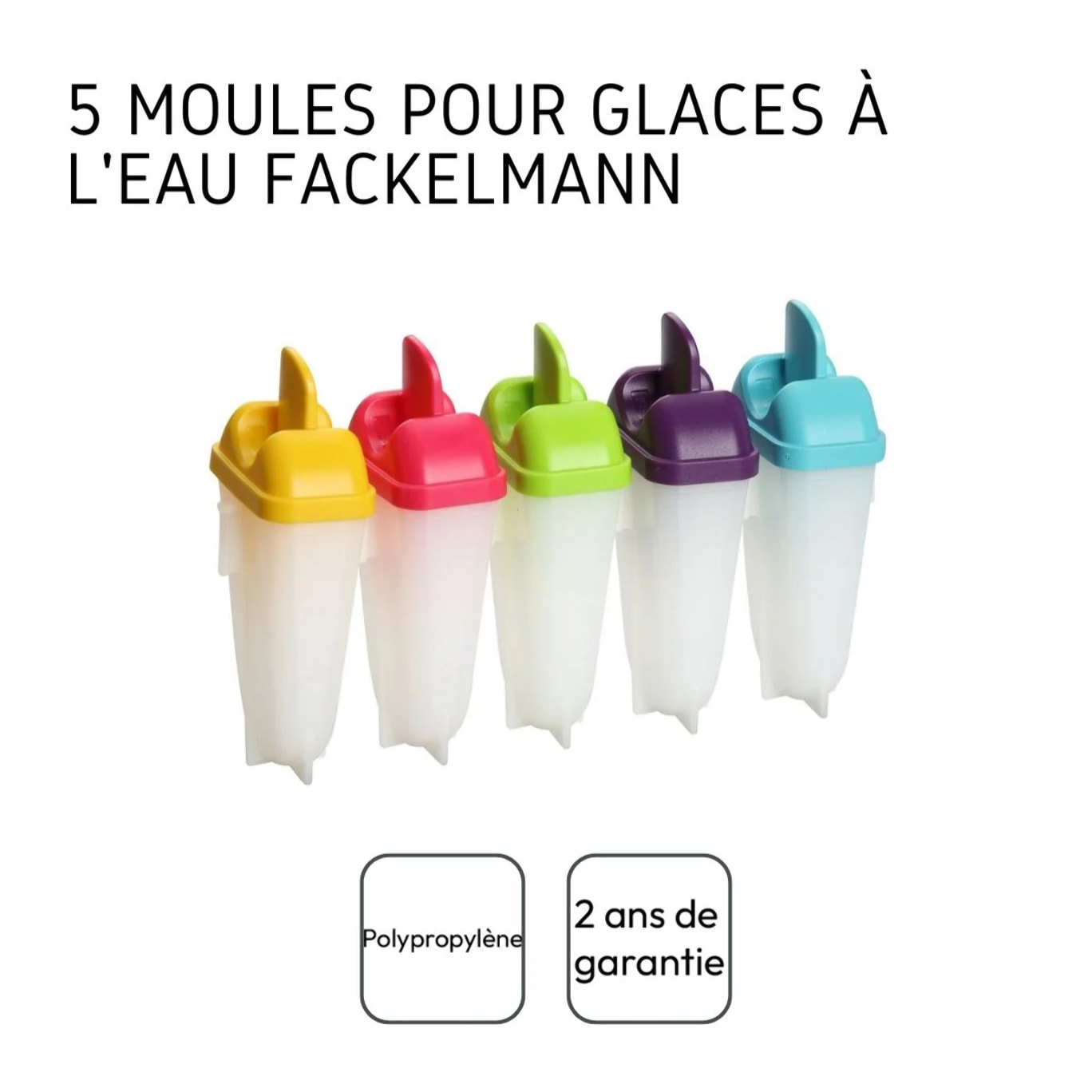 Lot de 5 moules pour glaces à l'eau maison Fackelmann