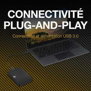 Disque dur externe SEAGATE 4To Expansion Portable Drive