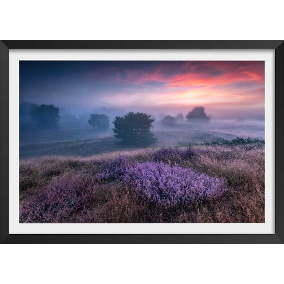 Poster couleur chaude et lavandin Affiche + cadre en bois - Noir