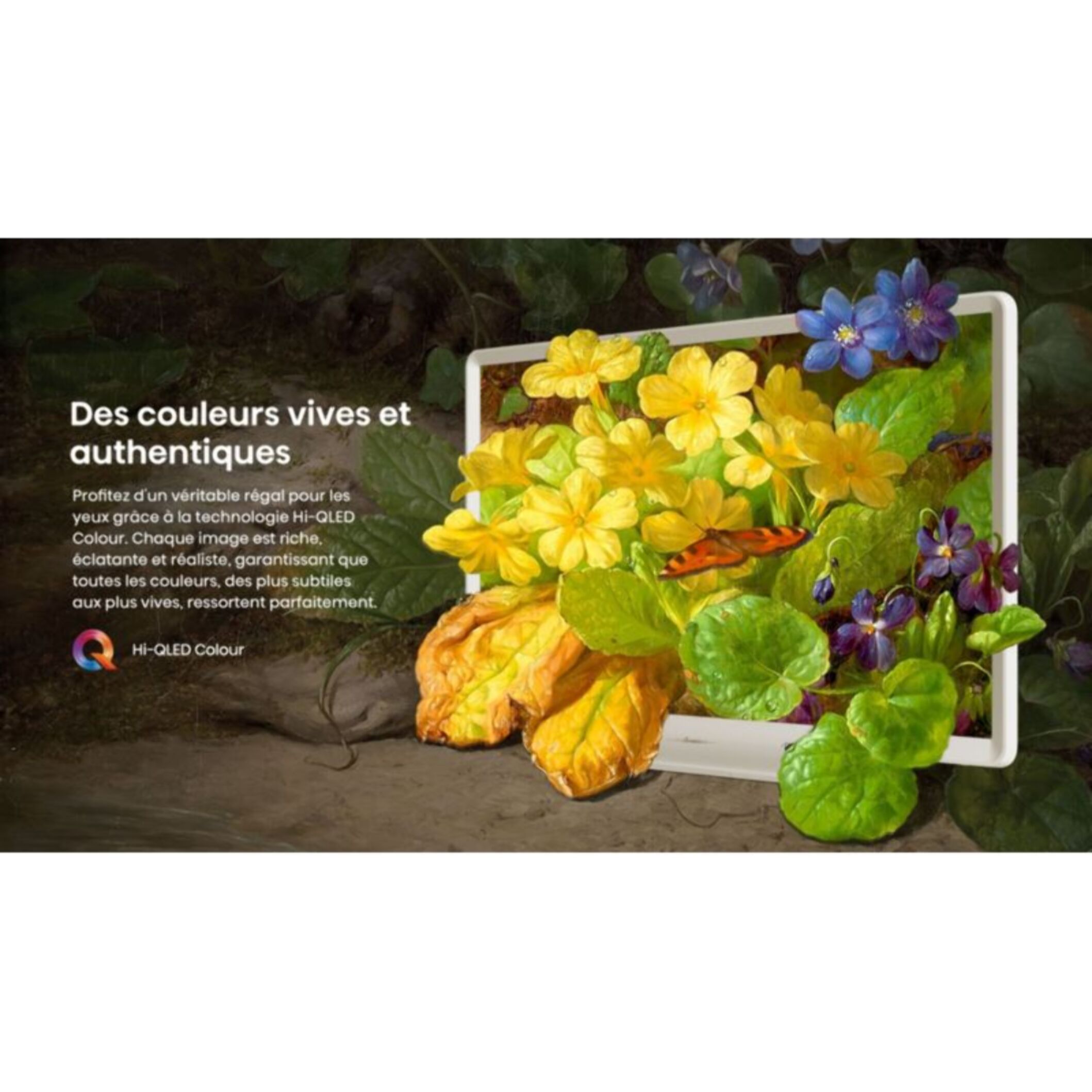 TV QLED HISENSE 32S5Q (2025) 32" (81 cm)
