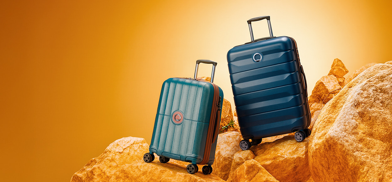 DELSEY en vente flash chez VEEPEE
