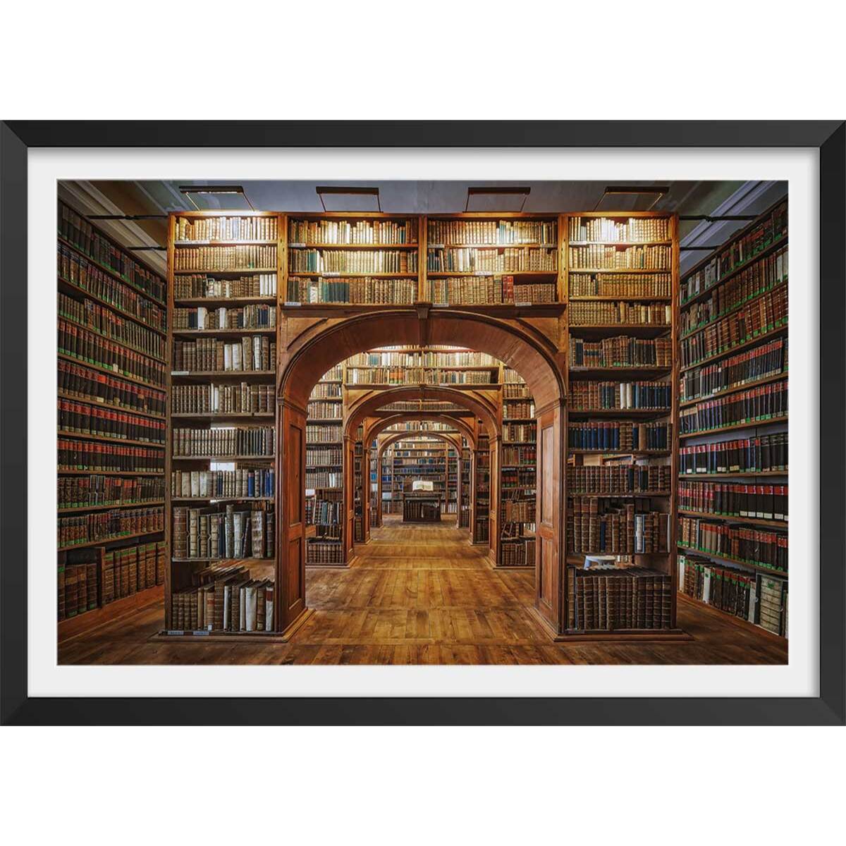 Affiche photo librairie des sciences - Affiche + cadre en bois - Noir