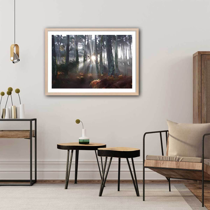 Affiche paysage brume landaise Affiche + cadre en bois - Chêne