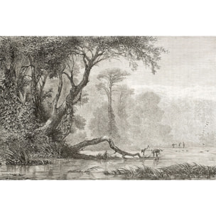 Tableau gravure les bords du fleuve Tableau plexiglas
