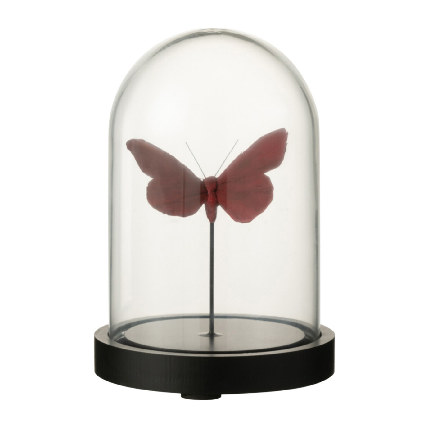 J-Line décoration Cloche Papillons - verre - rouge/burgundy - small