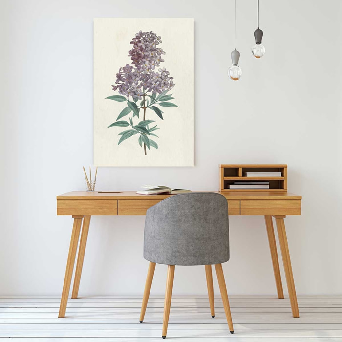 Tableau fleurs Gravure de Lilas vintage Toile imprimée