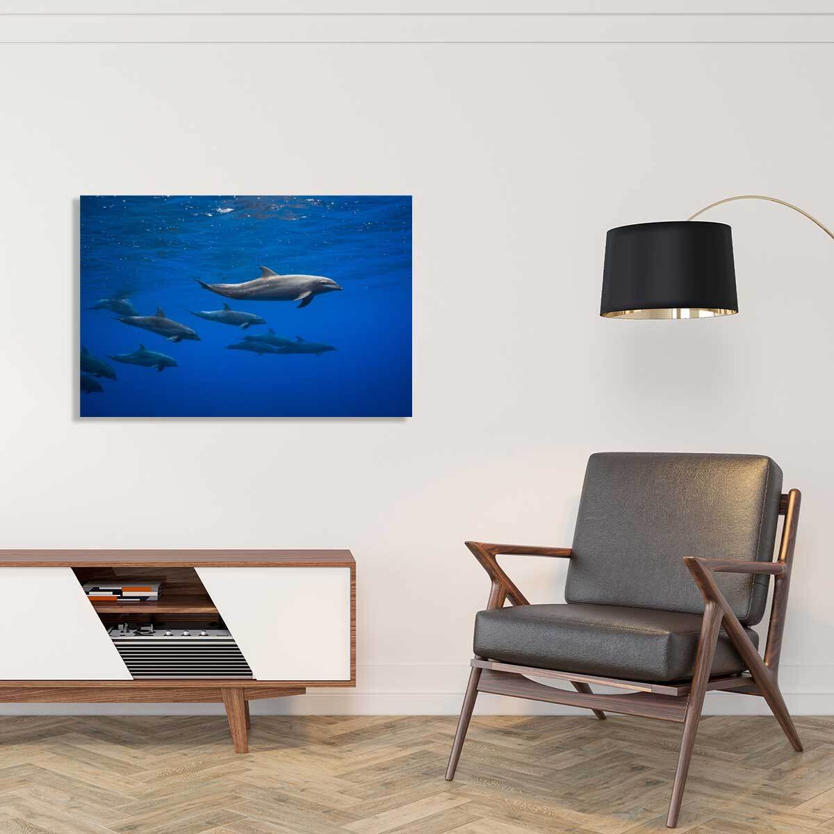 Tableau fond marin Dauphins course en famille Toile imprimée