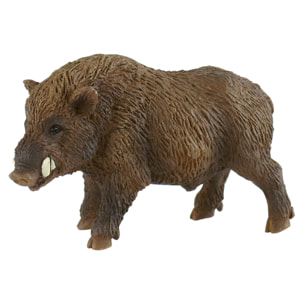 Animali della Foresta/Cinghiale