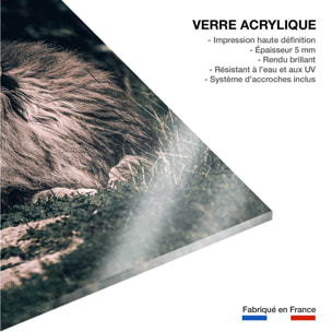 Tableau lion mon roi Tableau plexiglas