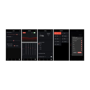 Lecteur réseau HiFi FIIO BT BR13 DAC USB