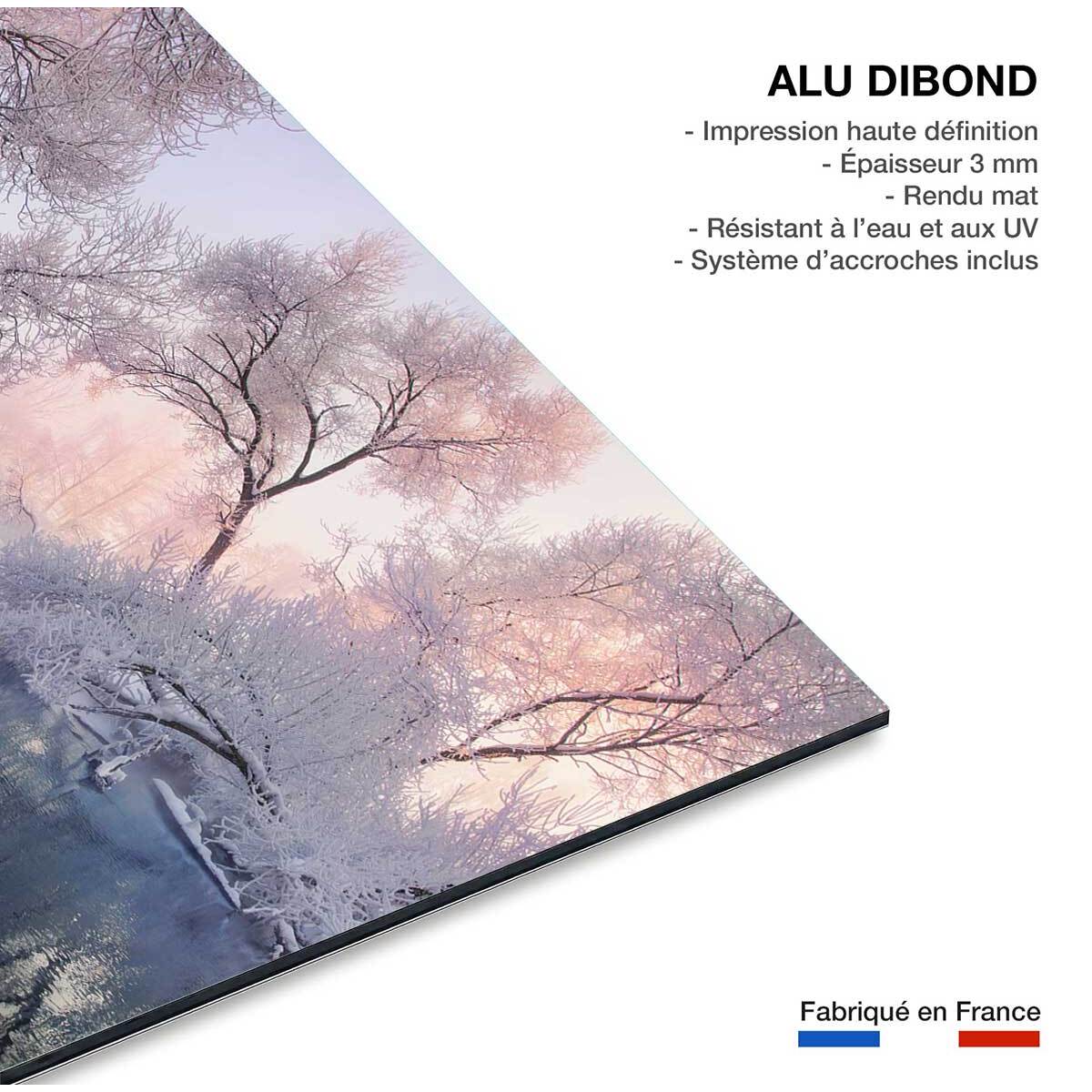 Tableau paysage Christmas lac Tableau alu Dibond