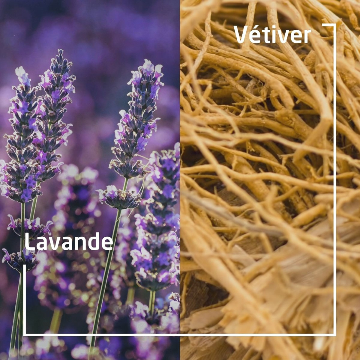 WELEDA - Douche végétale solide Lavande & Vétiver - 75 g