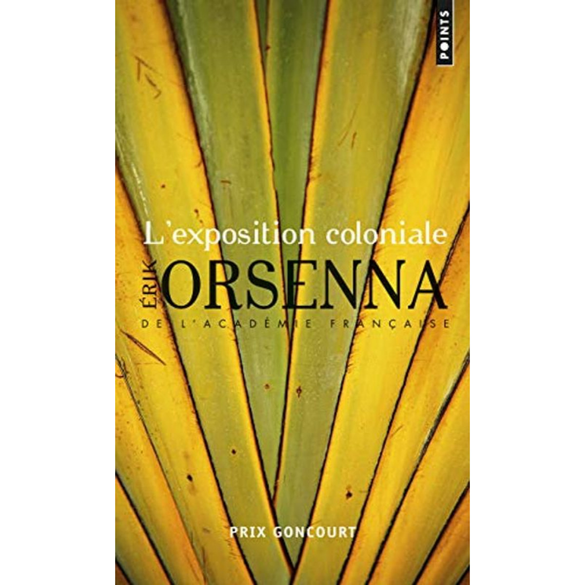 Orsenna, Erik | L'Exposition coloniale | Livre d'occasion