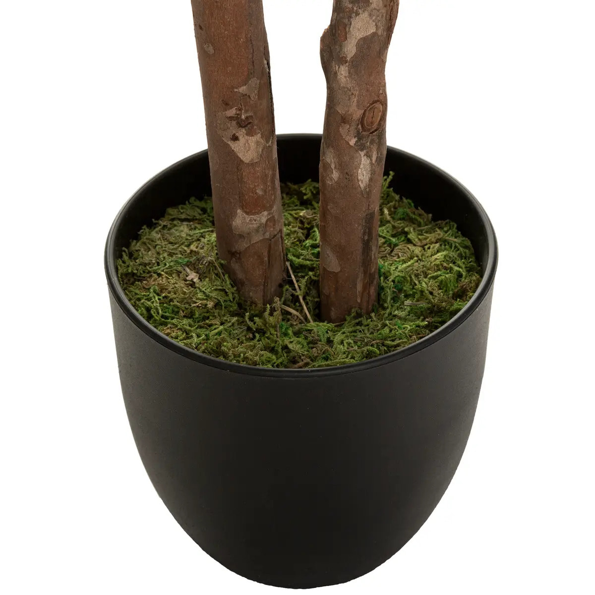Schefflera artificiel H130cm