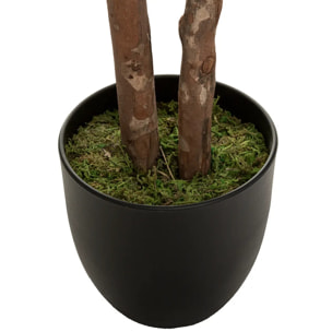 Schefflera artificiel H130cm