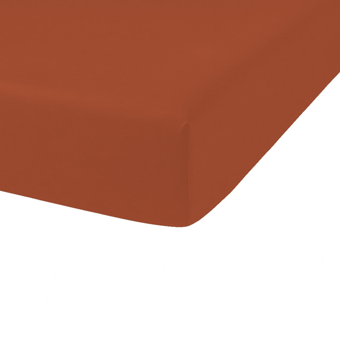 Drap housse coton 57fils uni - bonnet 35cm terracotta
