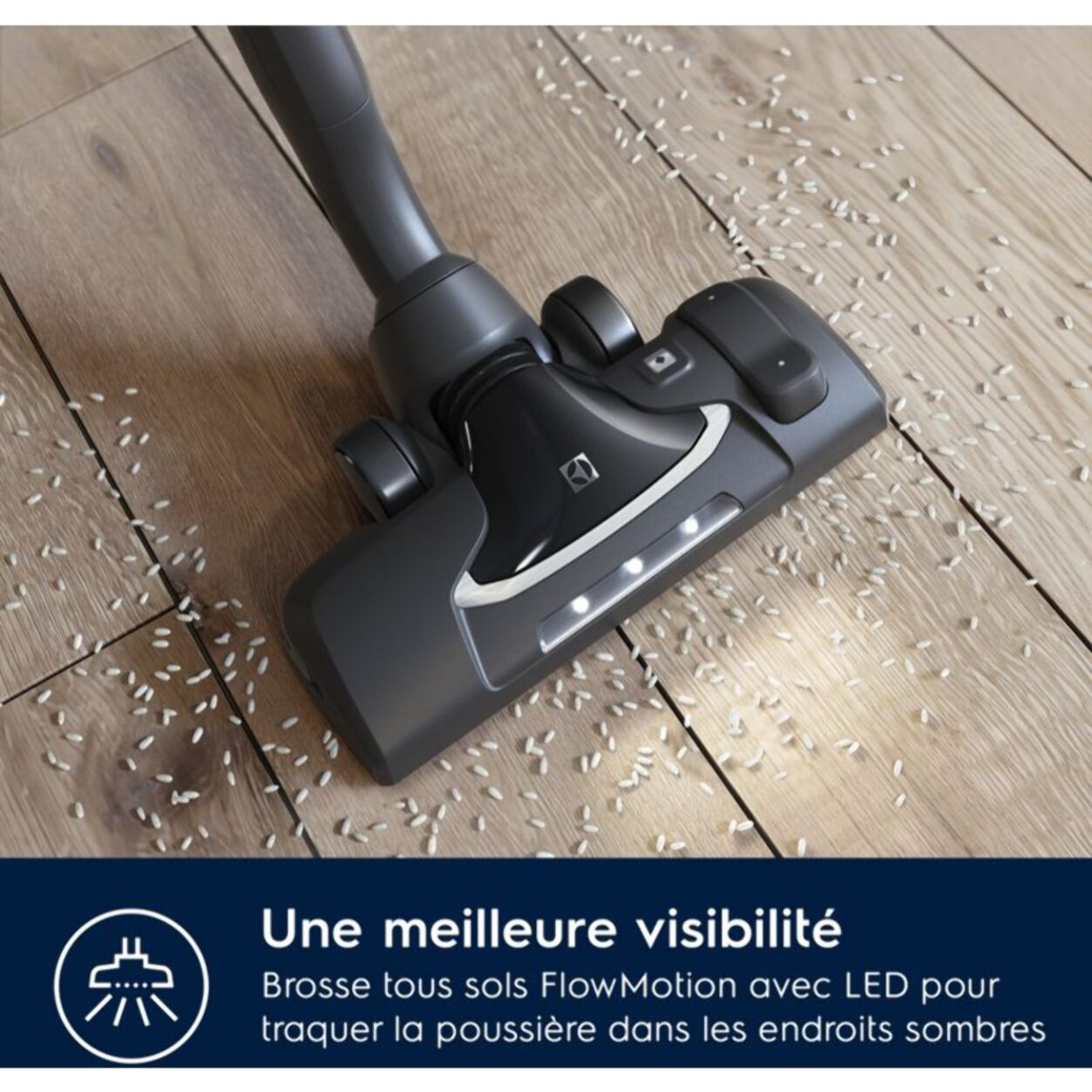 Aspirateur sans sac ELECTROLUX Pure C9 Allergy PC91-ALGR