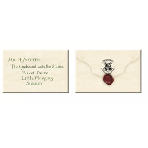 Harry Potter Set Magnete Letteraa Di Accettazione A Hogwarts Di 5,5 X 8 Cm Noble