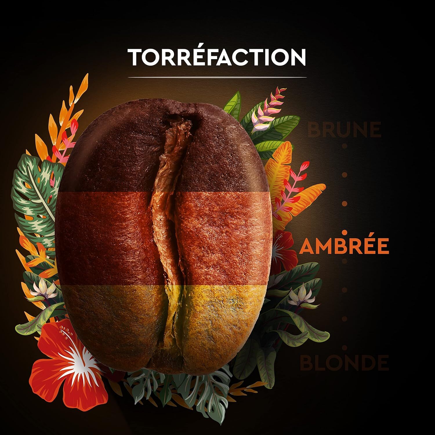 Grains Secret de Nature 2 Catuai 1 KG