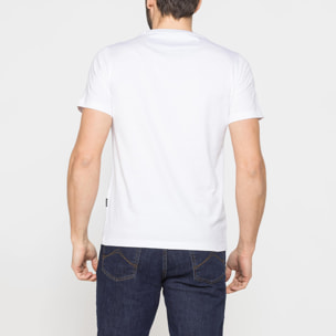 T-SHIRT DI COTONE CON VARIE STAMPE E FANTASIE