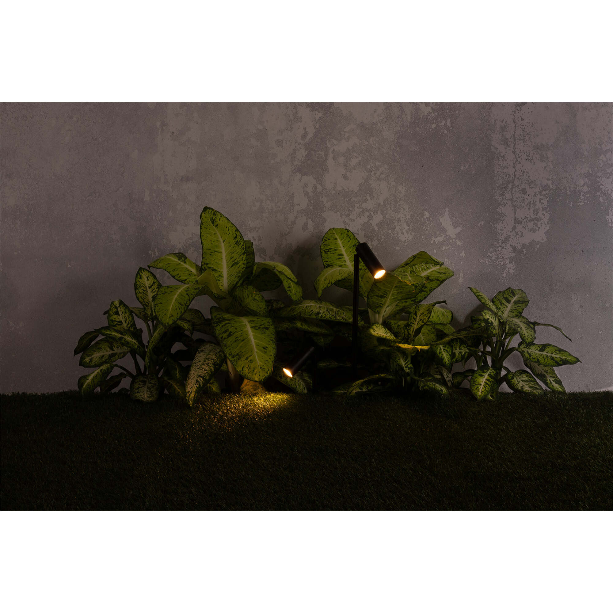 SETH 280 Estaca negra