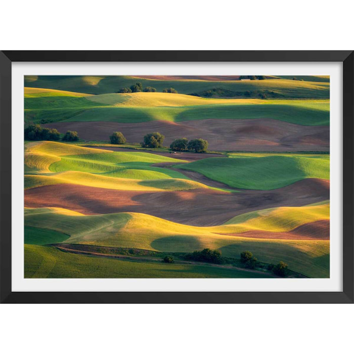 Affiche Colline colorée Affiche + cadre en bois - Noir